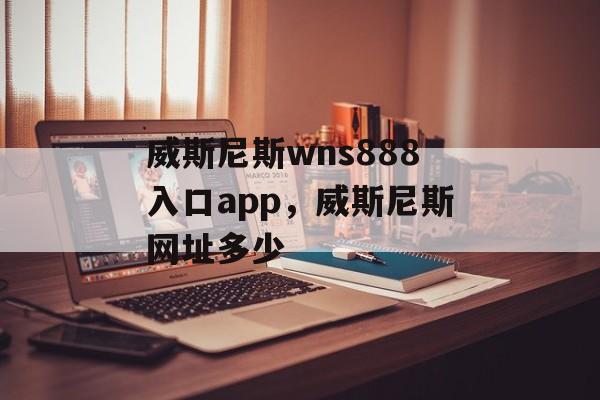 威斯尼斯wns888入口app，威斯尼斯网址多少