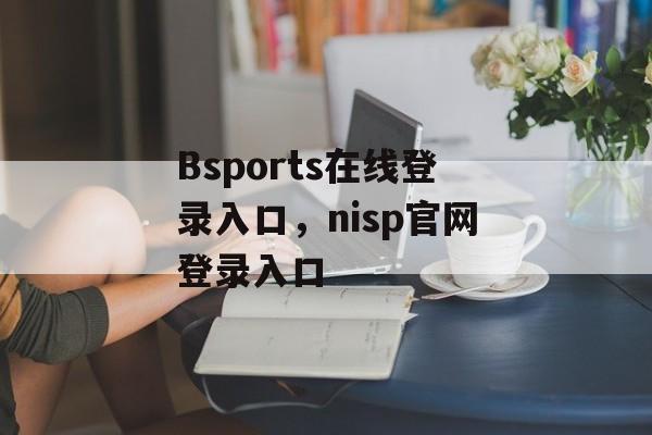 Bsports在线登录入口，nisp官网登录入口